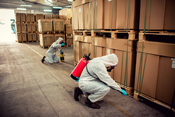Best Exterminator Services  in Chocowinity, NC