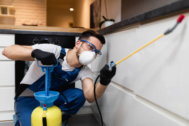 Best Wildlife Control Services  in Chocowinity, NC