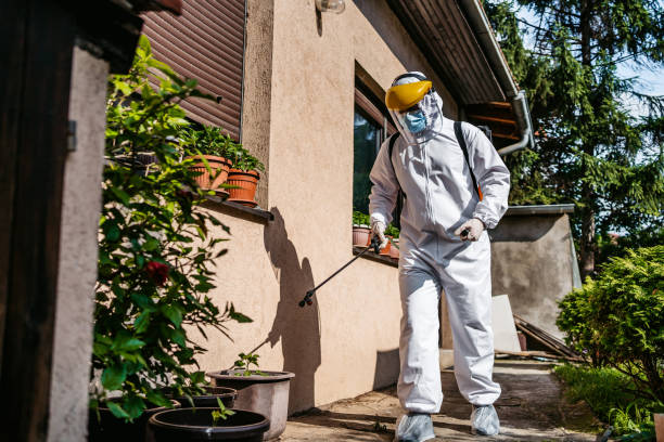 Reliable Chocowinity, NC Pest Control Solutions