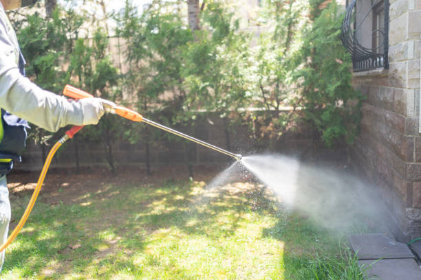Best Affordable Pest Control Services  in Chocowinity, NC